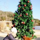 대하목장 | 가평양떼목장 3대 가족 나들이🐐 9살 조카와 어머니 모두 행복했던 겨울 여행 (2026 최신)