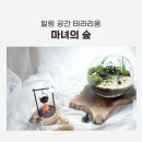 자연숲공방 | 송파에서 만난 힐링 공간 마녀의 숲 테라리움 공방 체험 후기