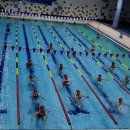 한석봉체육관 수영장 이미지