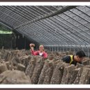 해맑은농장 이미지