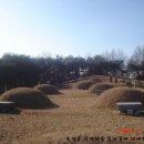 대종2리 이미지