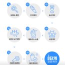대전 쇼파·매트리스 스팀청소 전후 비교·후기 '깔끔이홈케어'