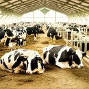 이재용농장 이미지