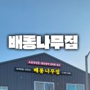 배롱나무집 | 배롱나무집, 깊고 진한 소곱창전골 솔직 후기