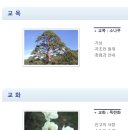 천상고등학교 | (일반고) 천상고등학교 2025 신입생 입학안내, 학교안내