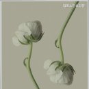 법화 | 관악구 요양원 찾는다면 법화노인요양원 관악구 요양원 추천