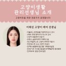 고양이 생활 호텔 이미지