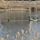 남산작은도서관 이미지