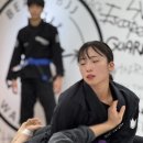 제일체육관 | 일산에서 제일 핫한 주짓수 체육관 비스트짐 오픈매트 후기