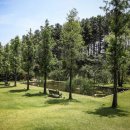 에덴파라다이스호텔 이미지