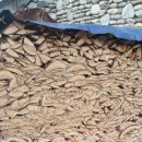 송추워터피아 이미지