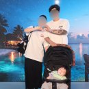 아이엑스이 | 속초 뮤지엄엑스 후기 아이와 가볼만한곳 실감형 미디어아트 전시 추천