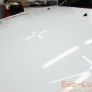 Evo-Luster 이미지