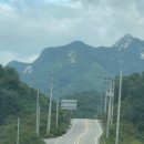 서상농협하나로마트 이미지