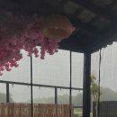 강릉료칸소돌향호 이미지