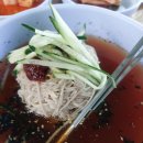 궁남지 서동문화관 화장실 | [내돈내산] 강아지랑 국내 여행 여름 부여 궁남지는 연꽃 맛집 (7,8월이 절경): 5월은 바람 솔솔 진정한...