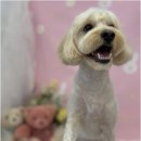 베베멍