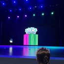 알파코드 | 알파블록스 뮤지컬 솔직후기｜컬쳐패스 쿠폰 활용팁 + 맨 앞좌석