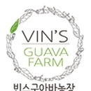 빈스구아바농장 네이버블로그