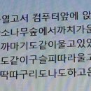 안창마을 Daum카페