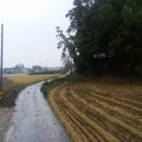 춘포면-07 이미지