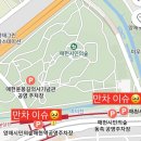 남부순환로(동측) | 2025 서울 양재천 양재시민의숲 벚꽃축제 벚꽃 실시간 개화 상태 (4/8 방문🌸 / 주차 꿀팁 / 근처 맛집)