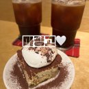 마핑고 | 내돈내산 솔직후기 티라미수 맛집 “마핑고”