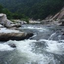 동아무도장 이미지