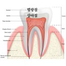 봄날에치과의 네이버블로그