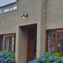 뜻밖의 발견 이미지