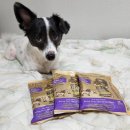 덕보농장 | 기호성 최고! 금사료 [카르나4] 이지츄 그레인프리 피쉬 후기