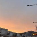[송별회3시간] 배민2종(노량진 진진수산 회+노랑통닭) &amp; 3월 점심걷기와 저탄수 챌린지(샐러드+쿠팡 편육)