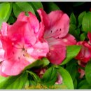 은혜병원 이미지