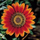 여기산1(서) 이미지