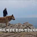 황도이장 갯바위 낚시 이미지