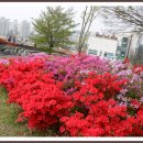 조선대학교병원 이미지