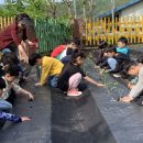 마장초등학교 이미지