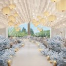 강남-289 이미지