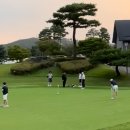 퍼팅디스크 그린연습장 사용방법 골프라운딩 준비물 버디 퍼팅디스크 사용후기
