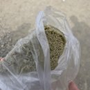 이천도자기축제 다녀온 후기