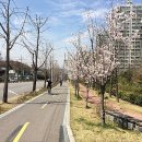 경춘선 자전거도로13 이미지