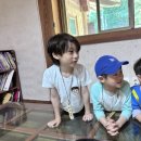 우리들 자연학교 6월 6일 하루 놀고 캠프 밤토리샘반 수업 후기