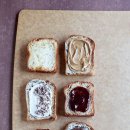 토스티토스트 이미지