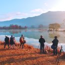 대가주천 이미지