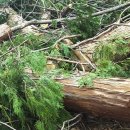 전남제재소 이미지