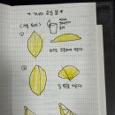사과시험장 앞 이미지