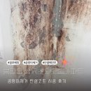 쌍용스윗닷홈아파트경로당 | 화성 봉담읍 쌍용스윗닷홈아파트 곰팡이제거 탄성코트 시공 했어요