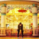 별빛백도 이미지