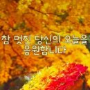 한줄의 실천님 글 공유 이미지