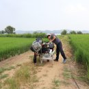 예당아 놀자 이미지